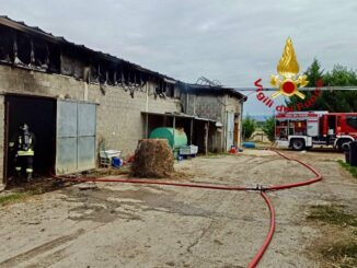 Incendio in una stalla a Castiglione Vigili salvano animali