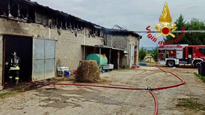 Incendio in una stalla a Castiglione Vigili salvano animali