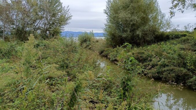Sopralluogo del Commissario Nazionale Siccità Lago Trasimeno