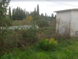 La Voce dei Cittadini sostiene il trasferimento del canile
