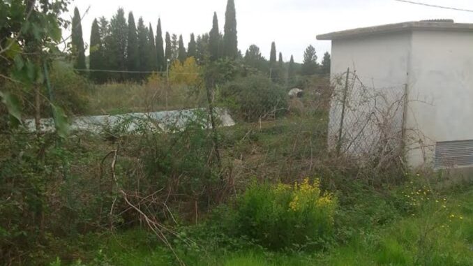 La Voce dei Cittadini sostiene il trasferimento del canile