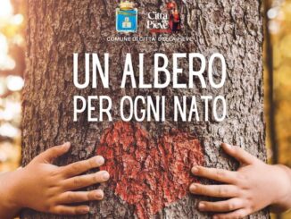 Giornata mondiale dell'albero: cerimonie a Città della Pieve