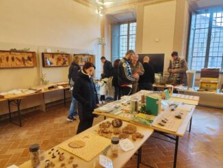 La Mostra "Insetti e Affini" a Città della Pieve fino al 1° dicembre