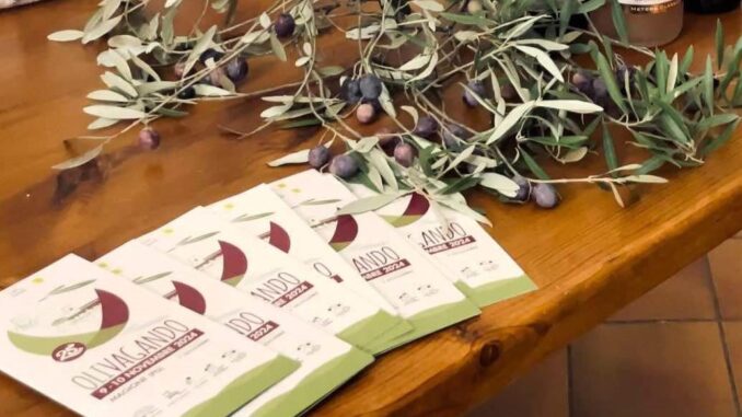 Magione celebra i 25 anni di "Olivagando" nel fine settimana