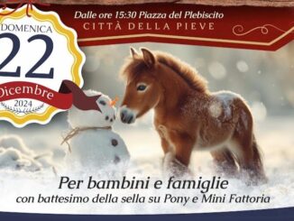 Mini Ranch a Città della Pieve: il Natale in sella ai pony
