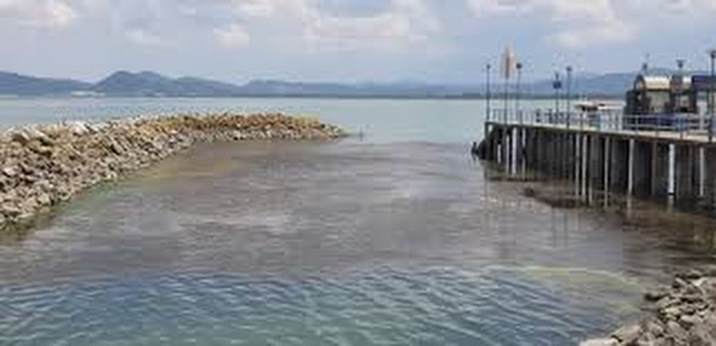 Allarme Trasimeno, Arcudi sollecita interventi straordinari