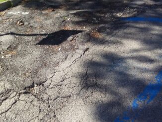 Problemi di sicurezza e degrado in via Garibaldi e piazza Dante