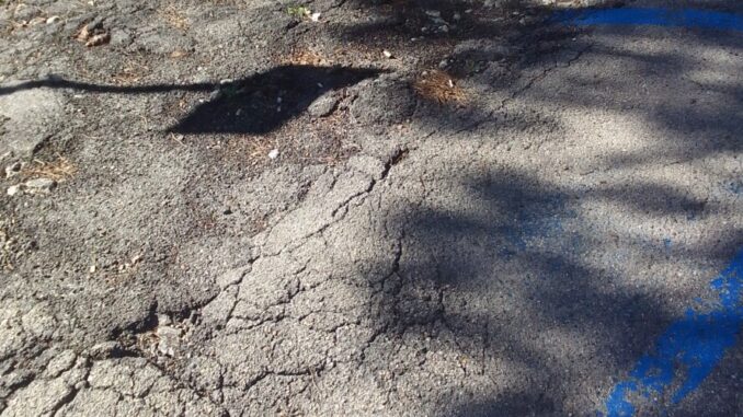 Problemi di sicurezza e degrado in via Garibaldi e piazza Dante