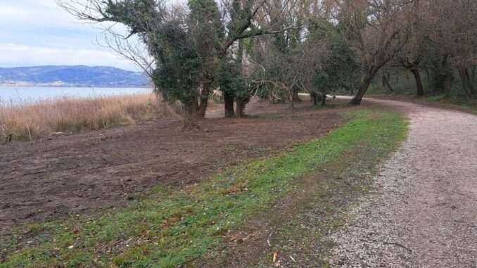 Ripristinata la passeggiata di Monte del Lago: un gioiello del Trasimeno
