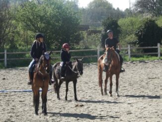 Progetto Equilibri equini per l’inclusione a Corciano
