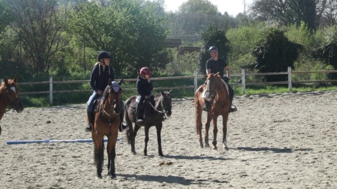 Progetto Equilibri equini per l’inclusione a Corciano