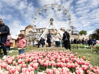 Parata della Festa del Tulipano rinviata a Castiglione del Lago