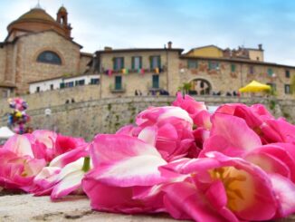 La Festa del Tulipano 2025 celebra i "piccoli Stati"