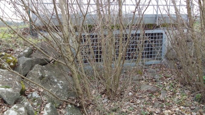 Almeno 10 milioni di metri cubi d'acqua per il Trasimeno