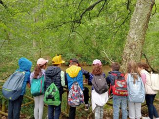 Monte Malbe, lettura e natura alla Festa dei Boschi