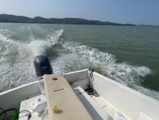 Trasimeno, iniziati i trattamenti larvicidi anti zanzare