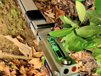 Controlli avanzati sugli alberi. a Corciano, per la sicurezza urbana