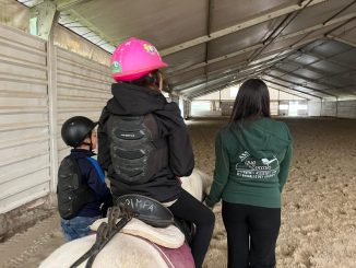 Scuderia Valmarino certificata FISE, svolta per la pet therapy